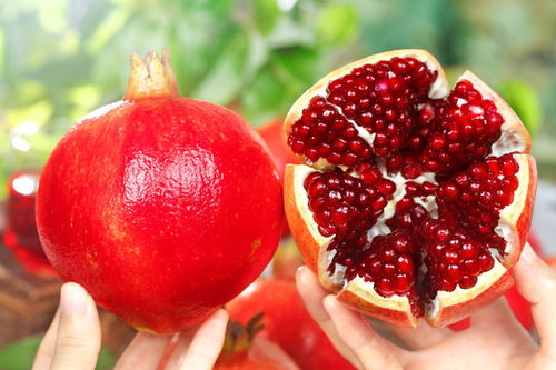 黑真珠石榴 餐饮与摄影交汇的新宠