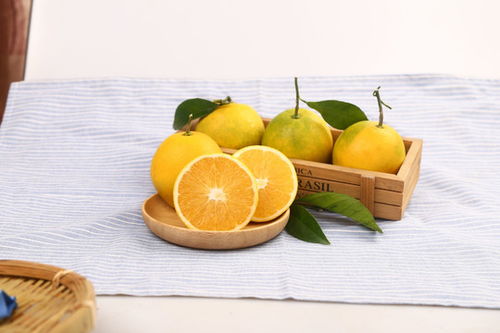 亚特猕猴桃 从田园到餐桌的绿色艺术